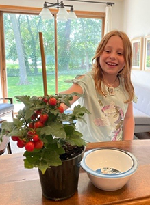 Smiling girl reaching for a small indoor tomato plant full of little red cherry tomatoes