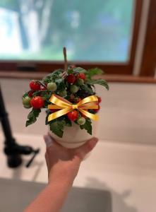 Potted tomato plant with a bow