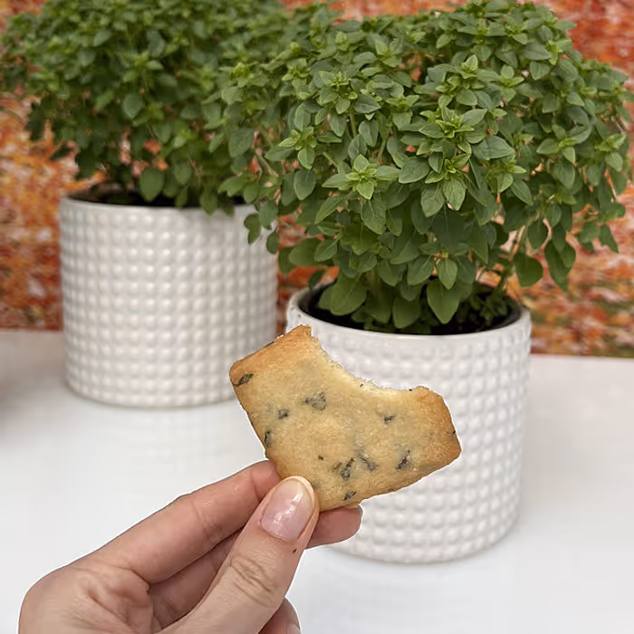 Bonsai Basil Lemon Shortbread Cookies