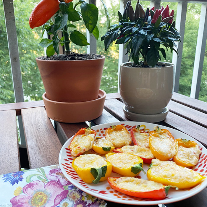 Grilled Cheesy Fresh Bites Snack Peppers